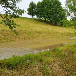 Einsatzbild